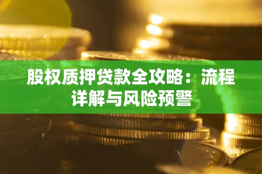 武汉股权质押贷款全攻略：流程详解与风险预警