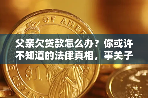 武汉父亲欠贷款怎么办？你或许不知道的法律真相，事关子女未来
