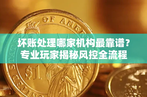 武汉坏账处理哪家机构最靠谱？专业玩家揭秘风控全流程