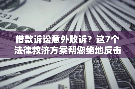 武汉借款诉讼意外败诉？这7个法律救济方案帮您绝地反击！