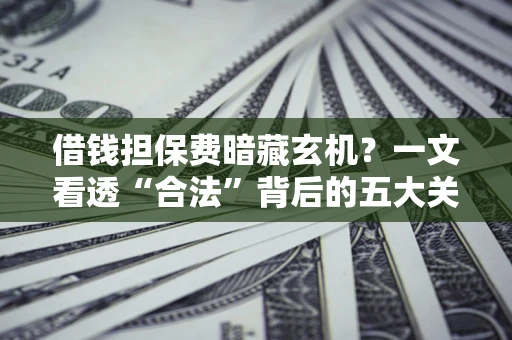 武汉借钱担保费暗藏玄机？一文看透“合法”背后的五大关键陷阱