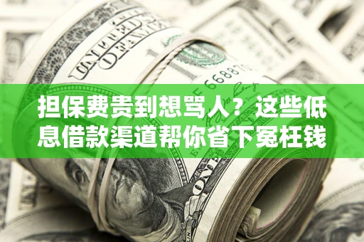 武汉担保费贵到想骂人？这些低息借款渠道帮你省下冤枉钱