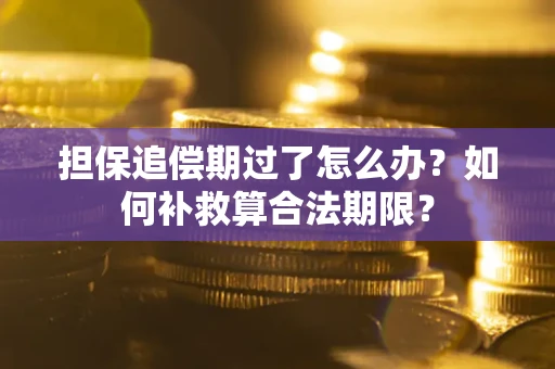 武汉担保追偿期过了怎么办？如何补救算合法期限？