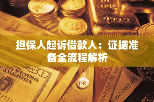 武汉担保人起诉借款人：证据准备全流程解析