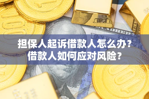武汉担保人起诉借款人怎么办？借款人如何应对风险？