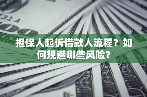 武汉担保人起诉借款人流程？如何规避哪些风险？