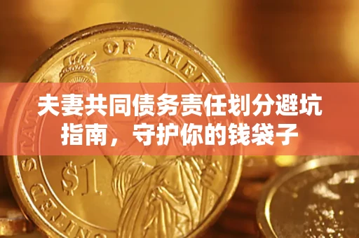 武汉夫妻共同债务责任划分避坑指南，守护你的钱袋子