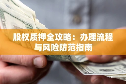 武汉股权质押全攻略：办理流程与风险防范指南