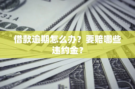 武汉借款逾期怎么办？要赔哪些违约金？