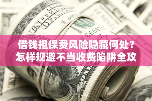 武汉借钱担保费风险隐藏何处？怎样规避不当收费陷阱全攻略！
