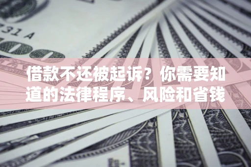 武汉借款不还被起诉？你需要知道的法律程序、风险和省钱技巧