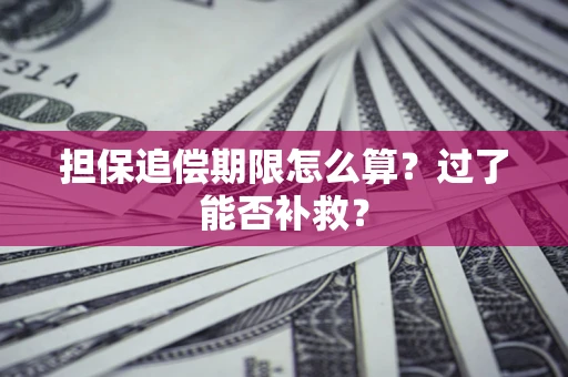 武汉担保追偿期限怎么算？过了能否补救？